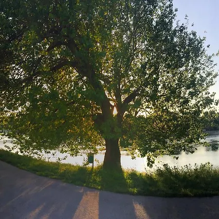 住宿加早餐酒店 策马酒馆住宿加早餐旅馆