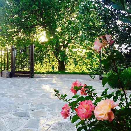 Bed & Breakfast Osteria Dello Sperone 4*