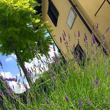 Bed & Breakfast Osteria Dello Sperone